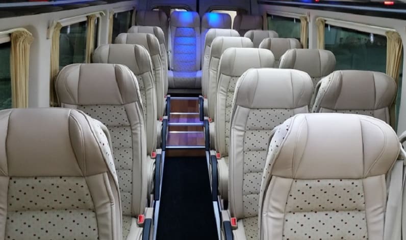 Austria: Coach company in Styria in Styria and Zeltweg