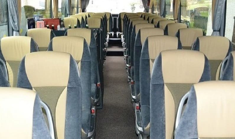 Slovenia: Coach operator in Drava in Drava and Ptuj
